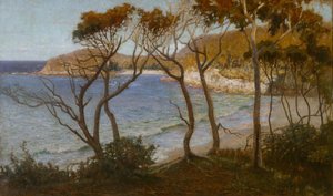 Playas del Pacífico de Albert Hanson
